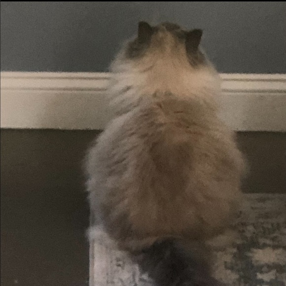 REBRANDING!! - Picture 13 of 13